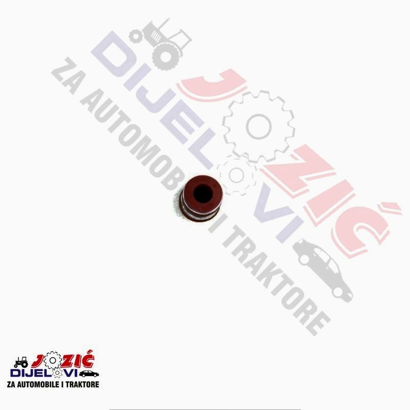 Daisy on the Ohoopee